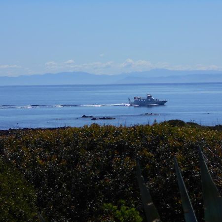 Le Case Punta Negra Stintino Eksteriør billede