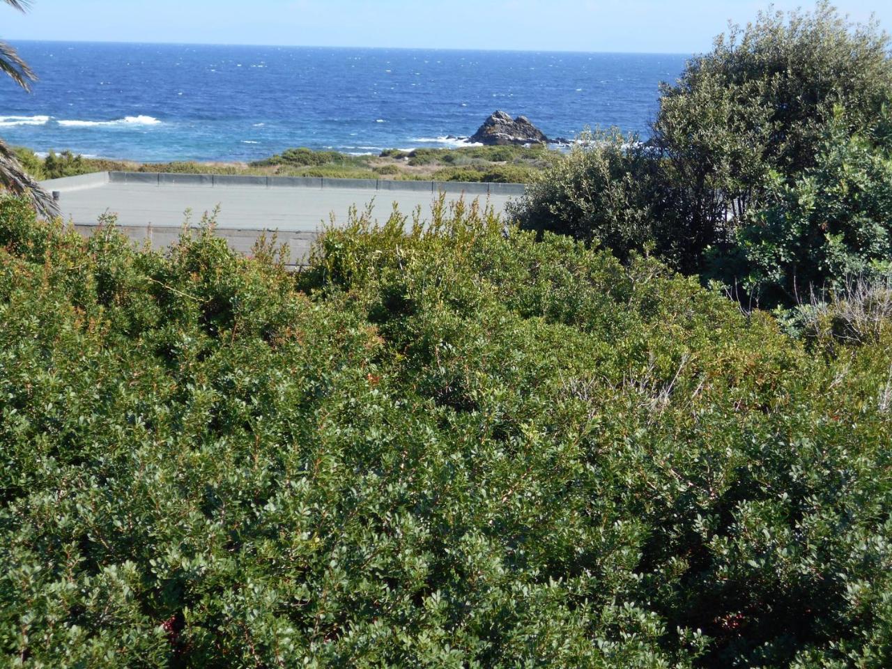 Le Case Punta Negra Stintino Eksteriør billede