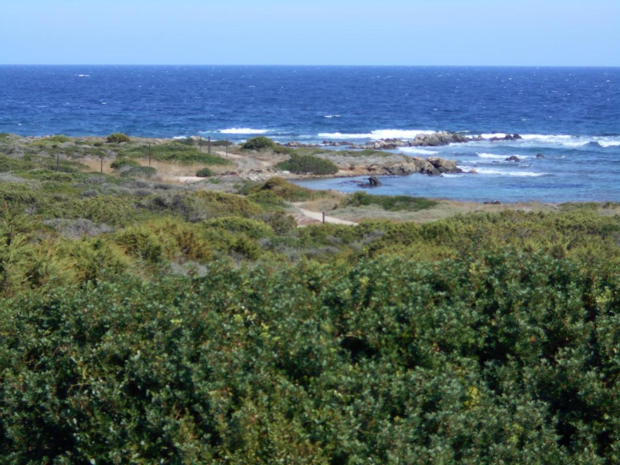 Le Case Punta Negra Stintino Eksteriør billede